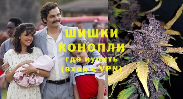 дурь Бронницы